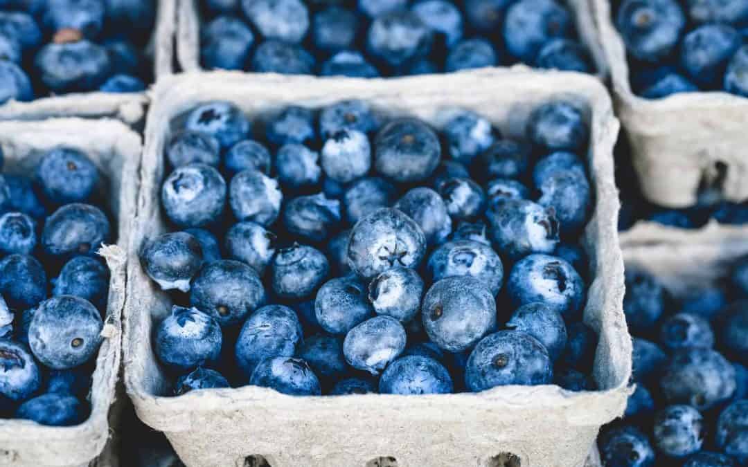 Top 10 Anti-Aging Foods