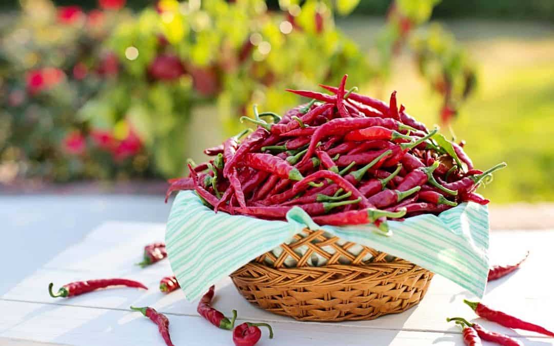 8 Foods Proven to Combat Pain