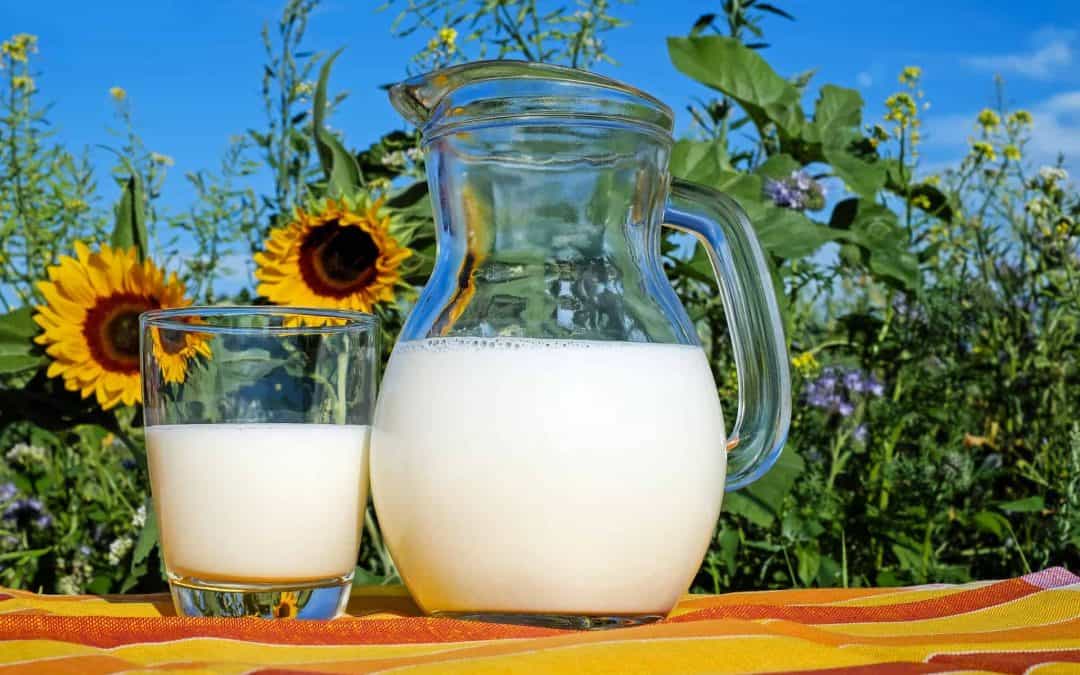 8 Benefits of Whey Protein