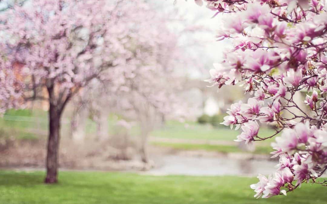The Best Spring Festivals in Middle TN